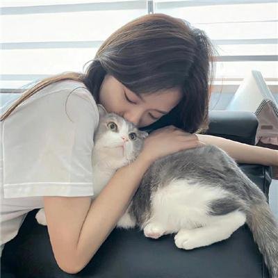 杜宾专员：一个悲痛的家庭